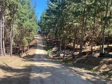 Matanzas, Precioso Terreno en Condominio en Matanzas, Navidad, Región de Libertador Bernardo O'Higgins Matanzas, Precioso Terreno en Condominio en Matanzas, Navidad, Región de Libertador Bernardo O'Higgins