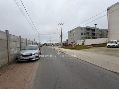ARRIENDO TERRENO 5.000 m² – SECTOR LA FLORIDA, LA SERENA en La Serena, Región de Coquimbo ARRIENDO TERRENO 5.000 m² – SECTOR LA FLORIDA, LA SERENA en La Serena, Región de Coquimbo