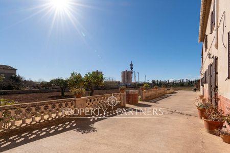 Una Joya en la Auténtica Palma en Palma de Mallorca, Mallorca, Islas Baleares Una Joya en la Auténtica Palma en Palma de Mallorca, Mallorca, Islas Baleares