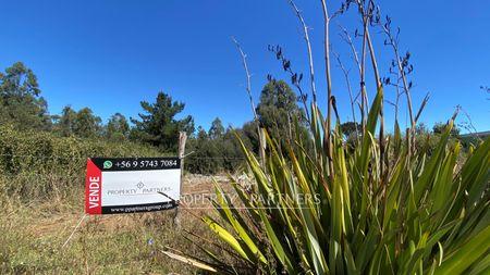Excelente terreno en Lo Pequén Alto en Cerro la Virgen, Concepcion, Región del Bio Bio Excelente terreno en Lo Pequén Alto en Cerro la Virgen, Concepcion, Región del Bio Bio