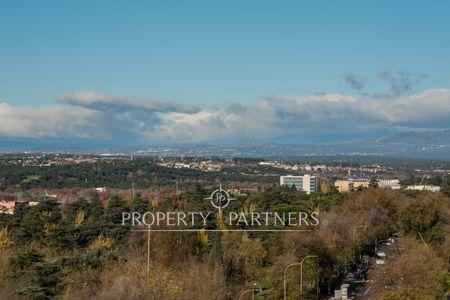 Luminoso piso a reformar en Paseo de Pintor Rosales en Arguelles, Moncloa, Madrid, Provincia de Madrid Luminoso piso a reformar en Paseo de Pintor Rosales en Arguelles, Moncloa, Madrid, Provincia de Madrid