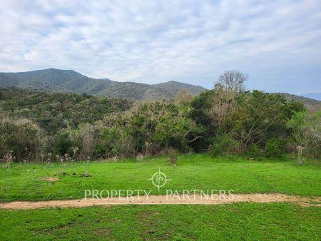 Oportunidad terreno 2ha en Cachagua, Bosques de Cachagua en Zapallar, Región de Valparaíso Oportunidad terreno 2ha en Cachagua, Bosques de Cachagua en Zapallar, Región de Valparaíso
