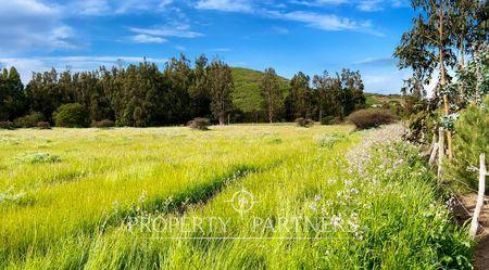 Precioso Terreno de 2,4 ha. en Catapilco, Zapallar en Catapilco, Zapallar, Región de Valparaíso Precioso Terreno de 2,4 ha. en Catapilco, Zapallar en Catapilco, Zapallar, Región de Valparaíso