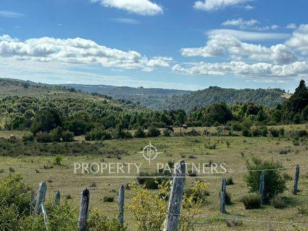 Oportunidad de inversión, campo con 1.700 m de orilla del Río Pescado, Los Muermos en Los Muermos, Región de Los Lagos Oportunidad de inversión, campo con 1.700 m de orilla del Río Pescado, Los Muermos en Los Muermos, Región de Los Lagos