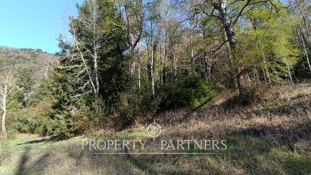 Campo en Reserva Paillahuinte con acceso al Lago Panguipulli. en Panguipulli, Región de Los Rios Campo en Reserva Paillahuinte con acceso al Lago Panguipulli. en Panguipulli, Región de Los Rios