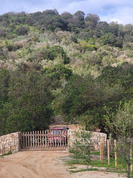 Oportunidad terreno 2ha en Cachagua, Bosques de Cachagua en Zapallar, Región de Valparaíso Oportunidad terreno 2ha en Cachagua, Bosques de Cachagua en Zapallar, Región de Valparaíso