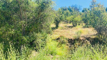 Chimbarongo, Terreno en Tinguiririca en Chimbarongo, Región de Libertador Bernardo O'Higgins Chimbarongo, Terreno en Tinguiririca en Chimbarongo, Región de Libertador Bernardo O'Higgins