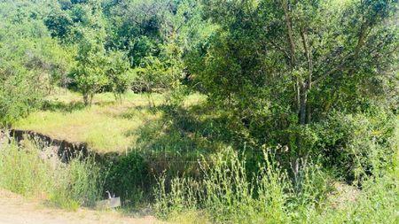 Chimbarongo, Terreno en Tinguiririca en Chimbarongo, Región de Libertador Bernardo O'Higgins Chimbarongo, Terreno en Tinguiririca en Chimbarongo, Región de Libertador Bernardo O'Higgins