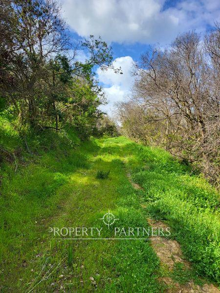 Oportunidad terreno 2ha en Cachagua, Bosques de Cachagua en Zapallar, Región de Valparaíso Oportunidad terreno 2ha en Cachagua, Bosques de Cachagua en Zapallar, Región de Valparaíso