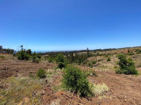 Matanzas, Terreno en Condominio con Linda vista en Matanzas, Navidad, Región de Libertador Bernardo O'Higgins Matanzas, Terreno en Condominio con Linda vista en Matanzas, Navidad, Región de Libertador Bernardo O'Higgins