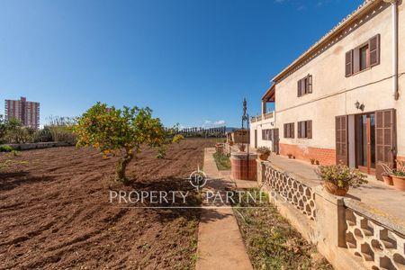 Una Joya en la Auténtica Palma en Palma de Mallorca, Mallorca, Islas Baleares Una Joya en la Auténtica Palma en Palma de Mallorca, Mallorca, Islas Baleares