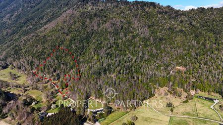 Campo en Reserva Paillahuinte con acceso al Lago Panguipulli. en Panguipulli, Región de Los Rios Campo en Reserva Paillahuinte con acceso al Lago Panguipulli. en Panguipulli, Región de Los Rios