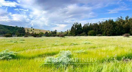 Precioso Terreno de 2,4 ha. en Catapilco, Zapallar en Catapilco, Zapallar, Región de Valparaíso Precioso Terreno de 2,4 ha. en Catapilco, Zapallar en Catapilco, Zapallar, Región de Valparaíso