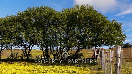 Land with Own Deed and Feasibility of Services in Enrique Abello. en Punta Arenas, Región de Magallanes y Antartica Chilena Land with Own Deed and Feasibility of Services in Enrique Abello. en Punta Arenas, Región de Magallanes y Antartica Chilena