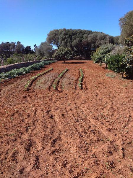 Lovely Country House in Faro Nati, Ciutadella de Menorca. en Menorca, Islas Baleares Lovely Country House in Faro Nati, Ciutadella de Menorca. en Menorca, Islas Baleares