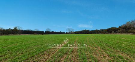 Hermoso Campo Agrícola a 25 minutos de Valdivia en Mariquina, Región de Los Rios Hermoso Campo Agrícola a 25 minutos de Valdivia en Mariquina, Región de Los Rios